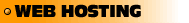 WEB HOSTING